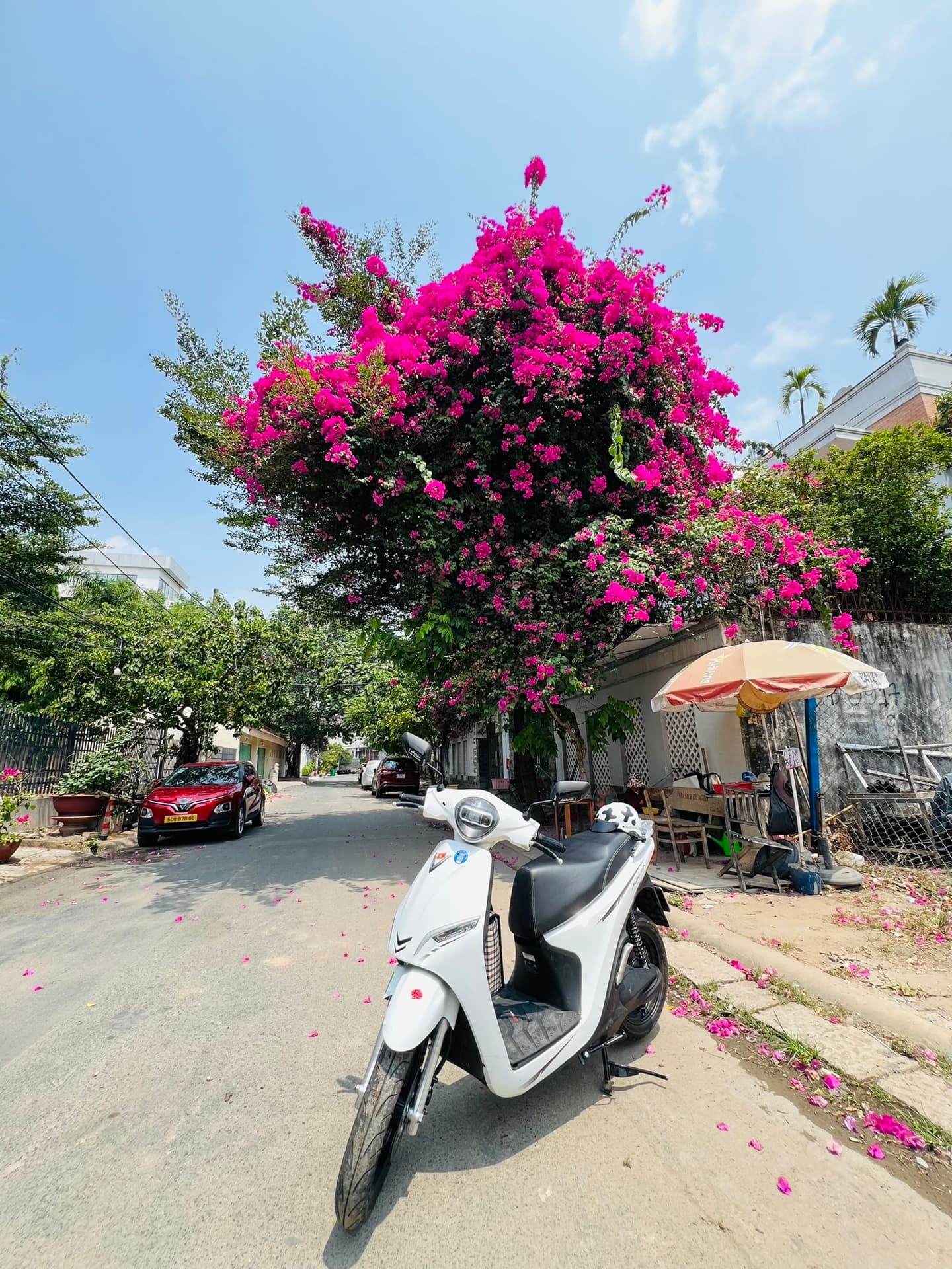 Feliz 2025 trắng sáng
