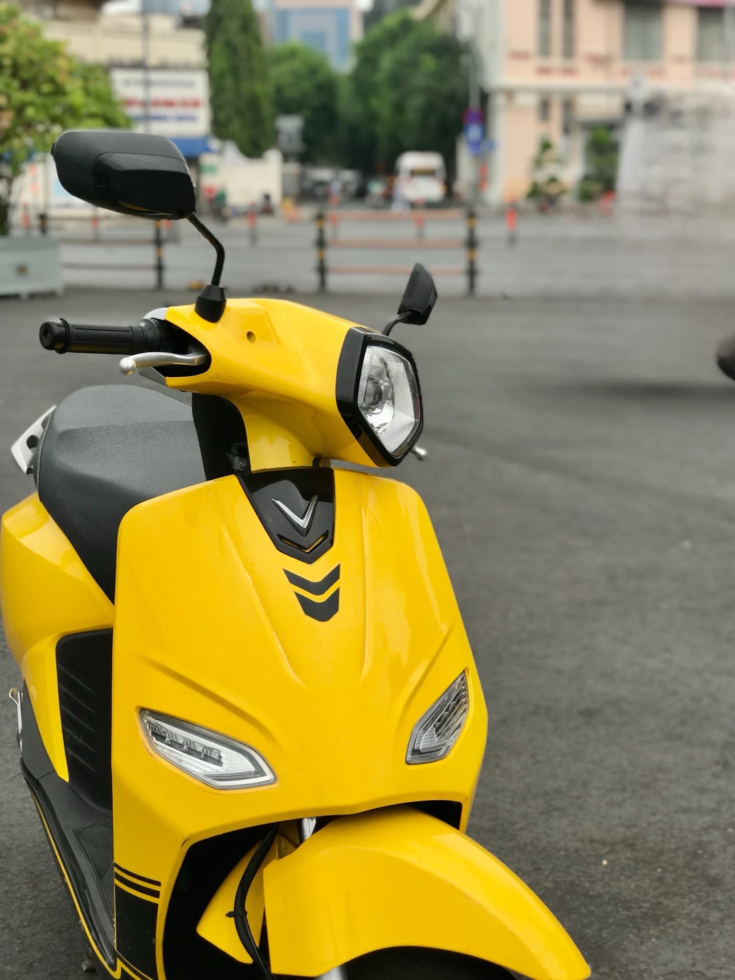 Vento vàng