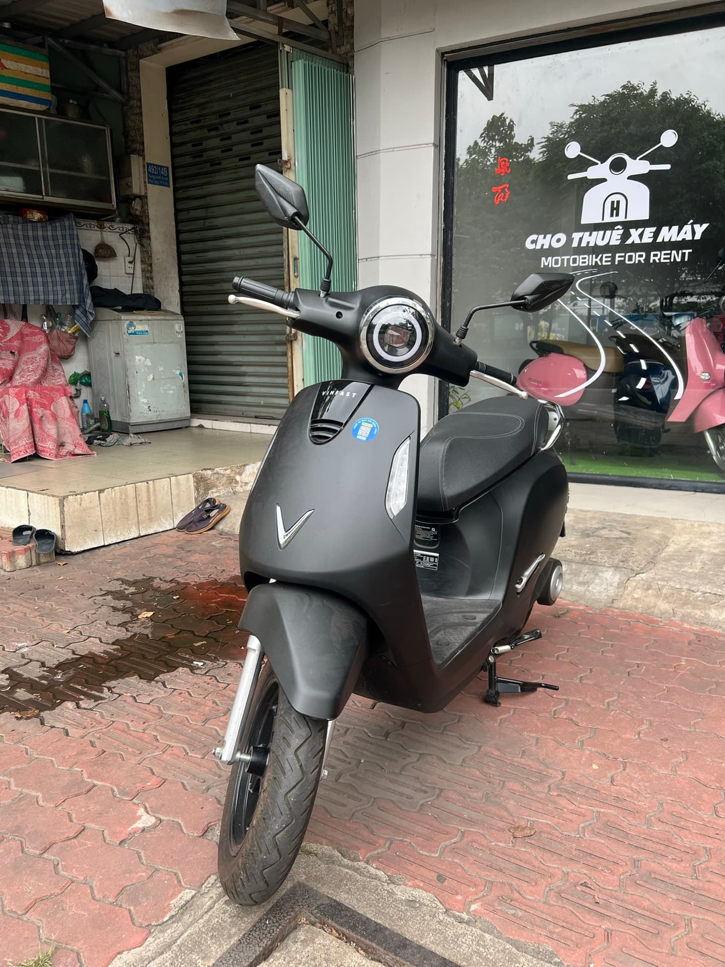 EVolite đen