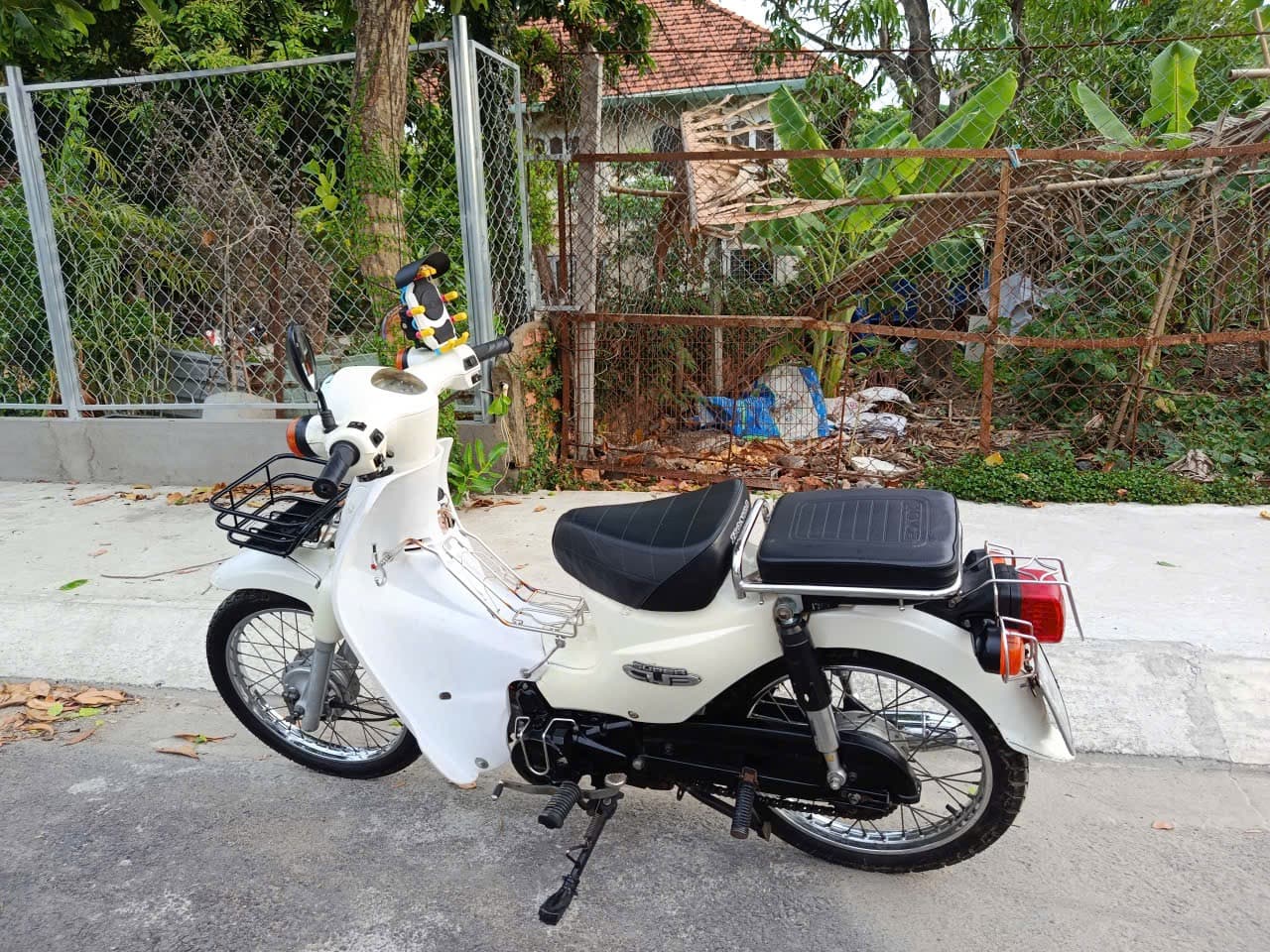 Super cub
